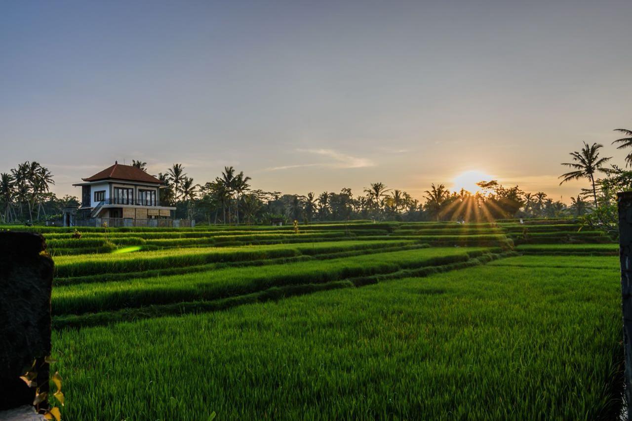 Pondok Anastasia Ubud  Exterior photo