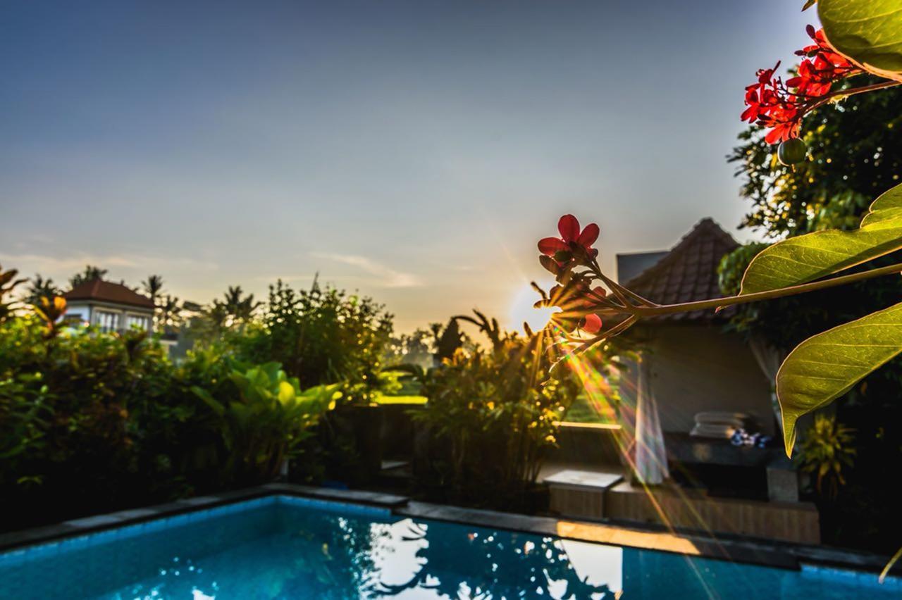 Pondok Anastasia Ubud  Exterior photo